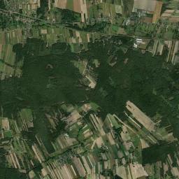 Satelita
