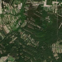Satelita