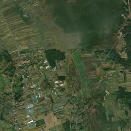 Satelita