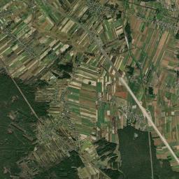 Satelita
