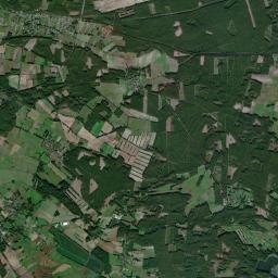 Satelita