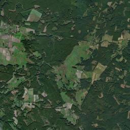 Satelita