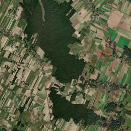 Satelita