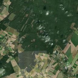 Satelita