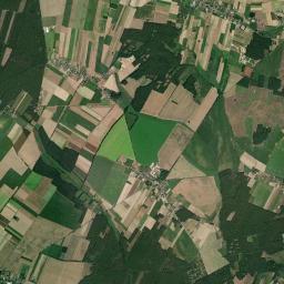 Satelita