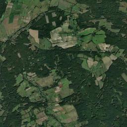 Satelita