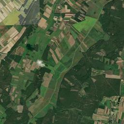 Satelita