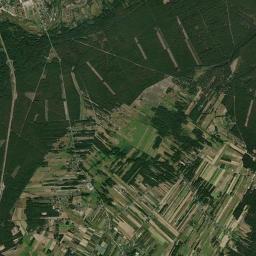 Satelita