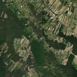 Satelita
