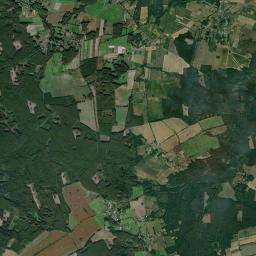 Satelita