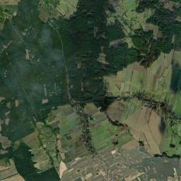 Satelita