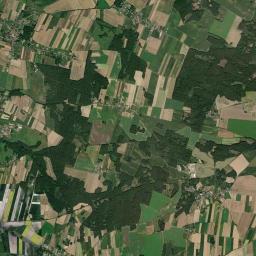 Satelita