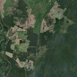 Satelita