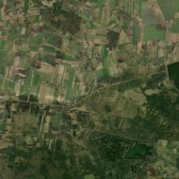 Satelita