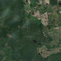 Satelita