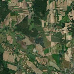 Satelita