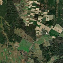 Satelita