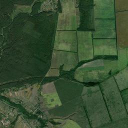 Shalyhyne Satellite Map