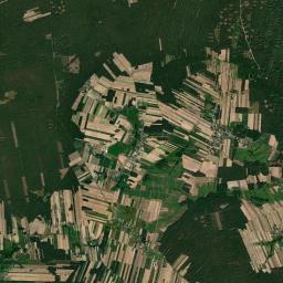 Satelita