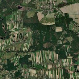 Dłutów Satellite Map