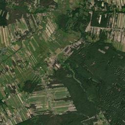 Satelita