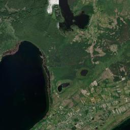Satelita