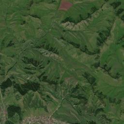Topol’noye Satellite Map