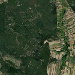 Satelita