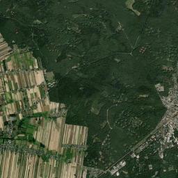 Satelita