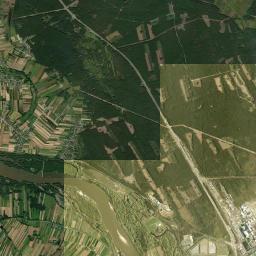 Satelita