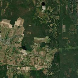 Satelita