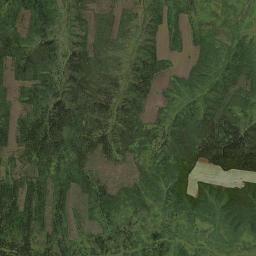 Svobodnenskiy Rayon Satellite Map