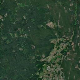 Satelita