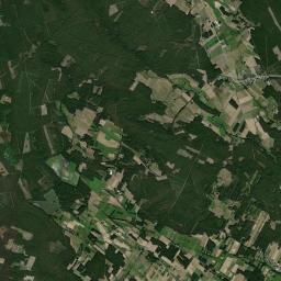 Satelita