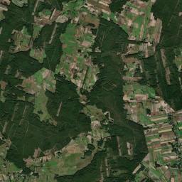 Satelita