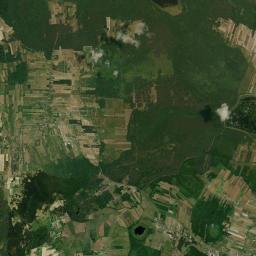 Satelita