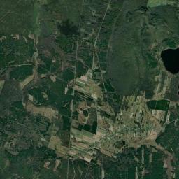 Satelita