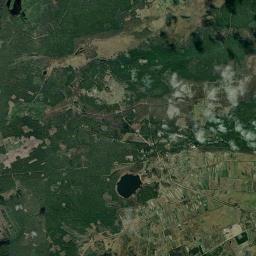 Satelita