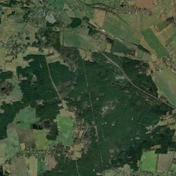 Satelita