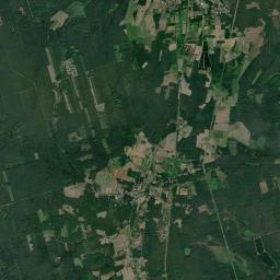 Satelita