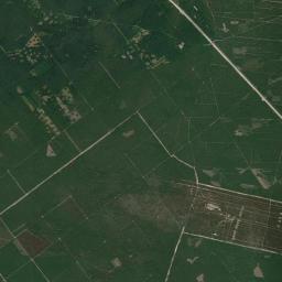 Satelita