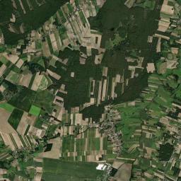 Satelita