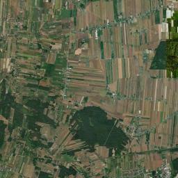 Satelita
