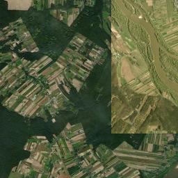 Satelita