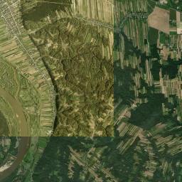 Satelita