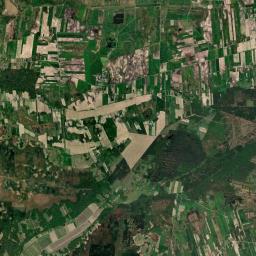 Satelita