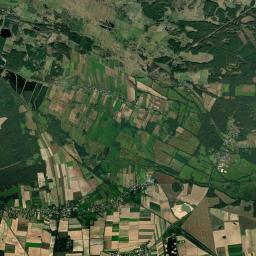 Satelita