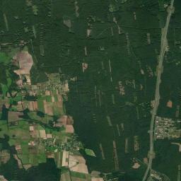 Satelita