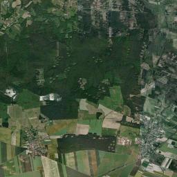 Satelita