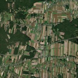 Satelita